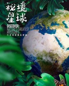 学习外语时,你有什么好的方法?-专业问答网站
